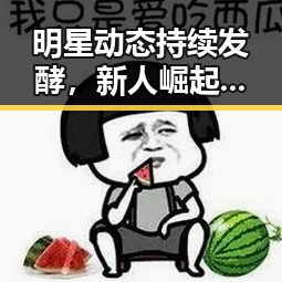 明星动态持续发酵，新人崛起引发关注