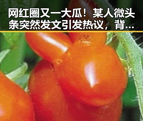 网红圈又一大瓜！某人微头条突然发文引发热议，背后真相令人震惊？